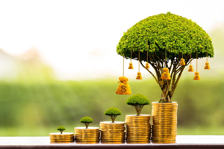SPAN investment opportunities